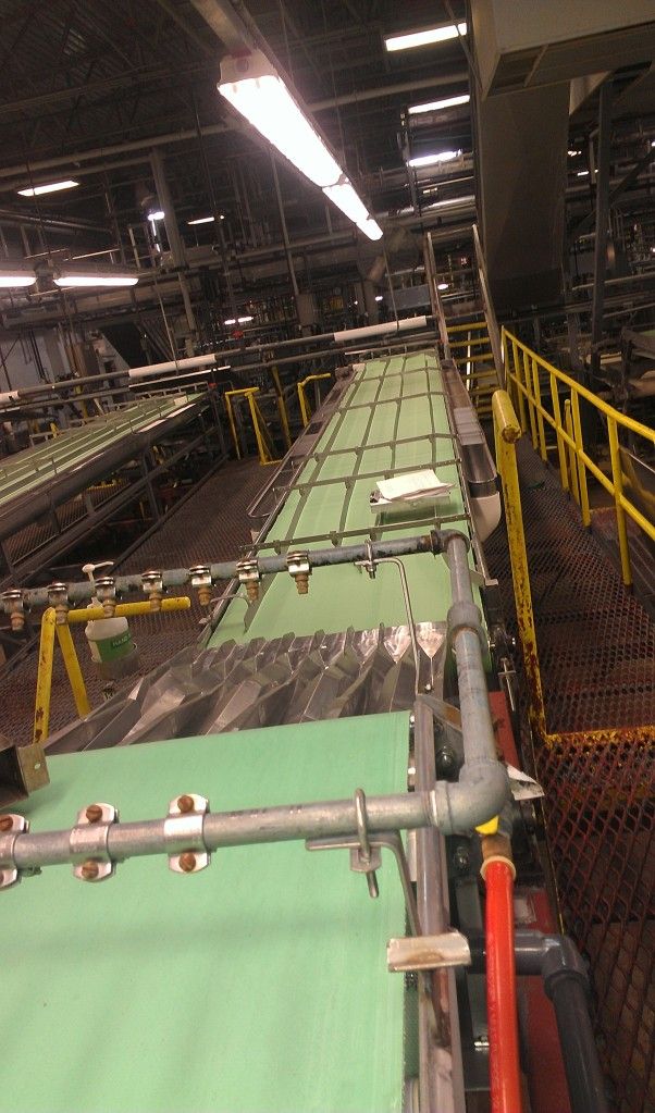 Fruit Processing & Cannery Equipment 7.1.1S Inspection Belt Conveyor